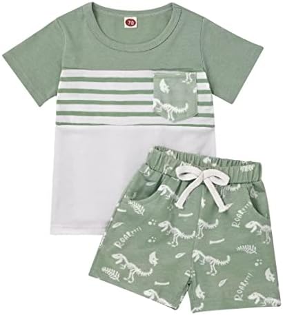 Toddler Boys Dinosaur T-Shirt Shorts Set