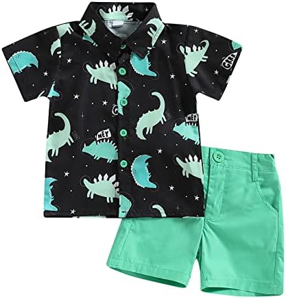 Dinosaur Print Toddler Boy Clothes Set