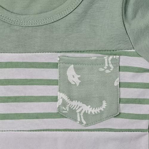 Toddler Boys Dinosaur T-Shirt Shorts Set