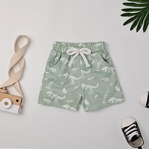 Toddler Boys Dinosaur T-Shirt Shorts Set