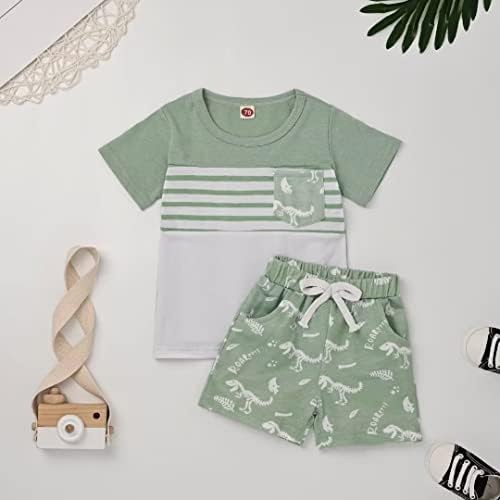 Toddler Boys Dinosaur T-Shirt Shorts Set