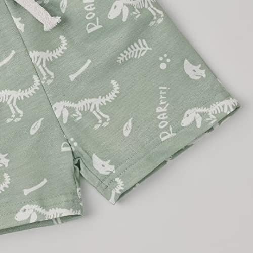 Toddler Boys Dinosaur T-Shirt Shorts Set