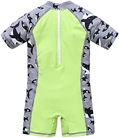 Achiyi Toddler Boys UPF 50 Swimwear with Cartoon Prints