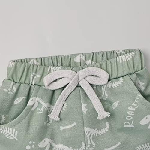 Toddler Boys Dinosaur T-Shirt Shorts Set