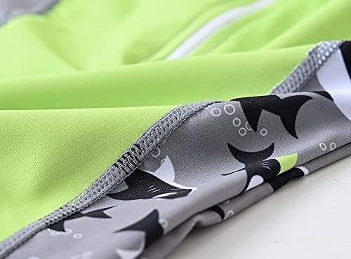Achiyi Toddler Boys UPF 50 Swimwear with Cartoon Prints