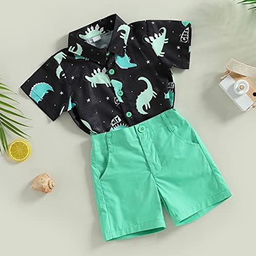 Dinosaur Print Toddler Boy Clothes Set