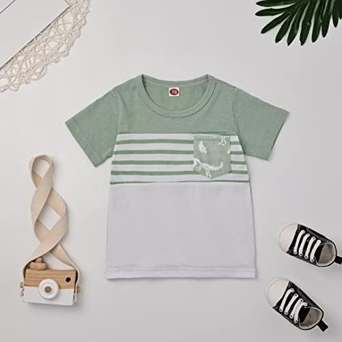 Toddler Boys Dinosaur T-Shirt Shorts Set