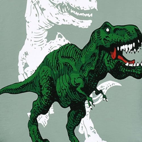 Little Boys Pajamas Dinosaur Cotton 2 Piece Set Fall Winter