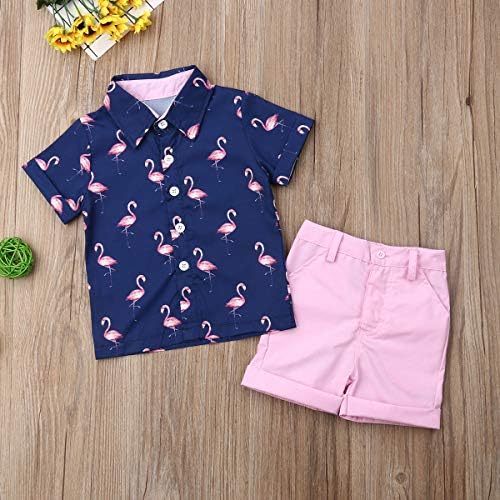 Celebrate Summer with VISGOGO Toddler Shirts Shorts