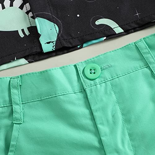 Dinosaur Print Toddler Boy Clothes Set