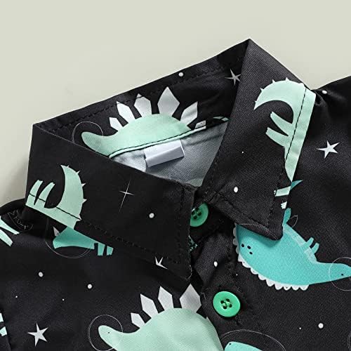 Dinosaur Print Toddler Boy Clothes Set