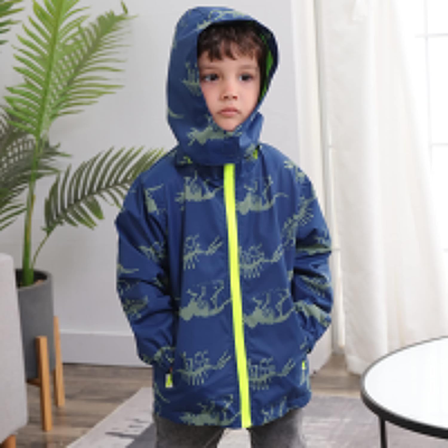 Dinosaur-RVerification Water-Proof Hooded Jacket for Boys wiping Rain in style
