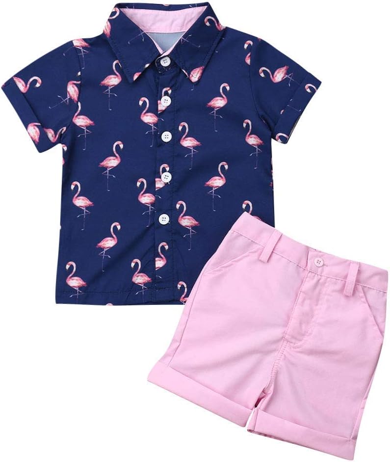 Celebrate Summer with VISGOGO Toddler Shirts Shorts
