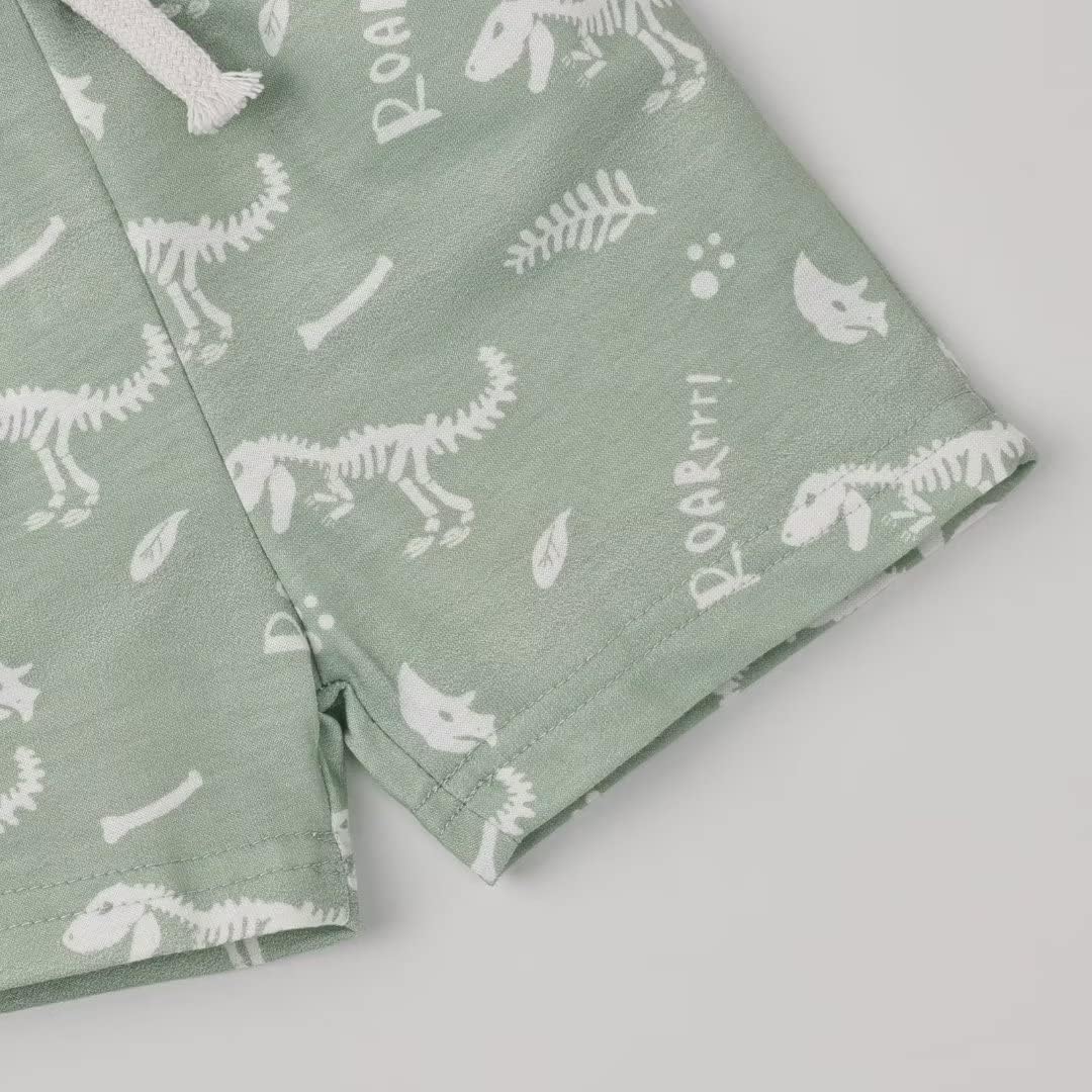 Toddler Boys Dinosaur T-Shirt Shorts Set