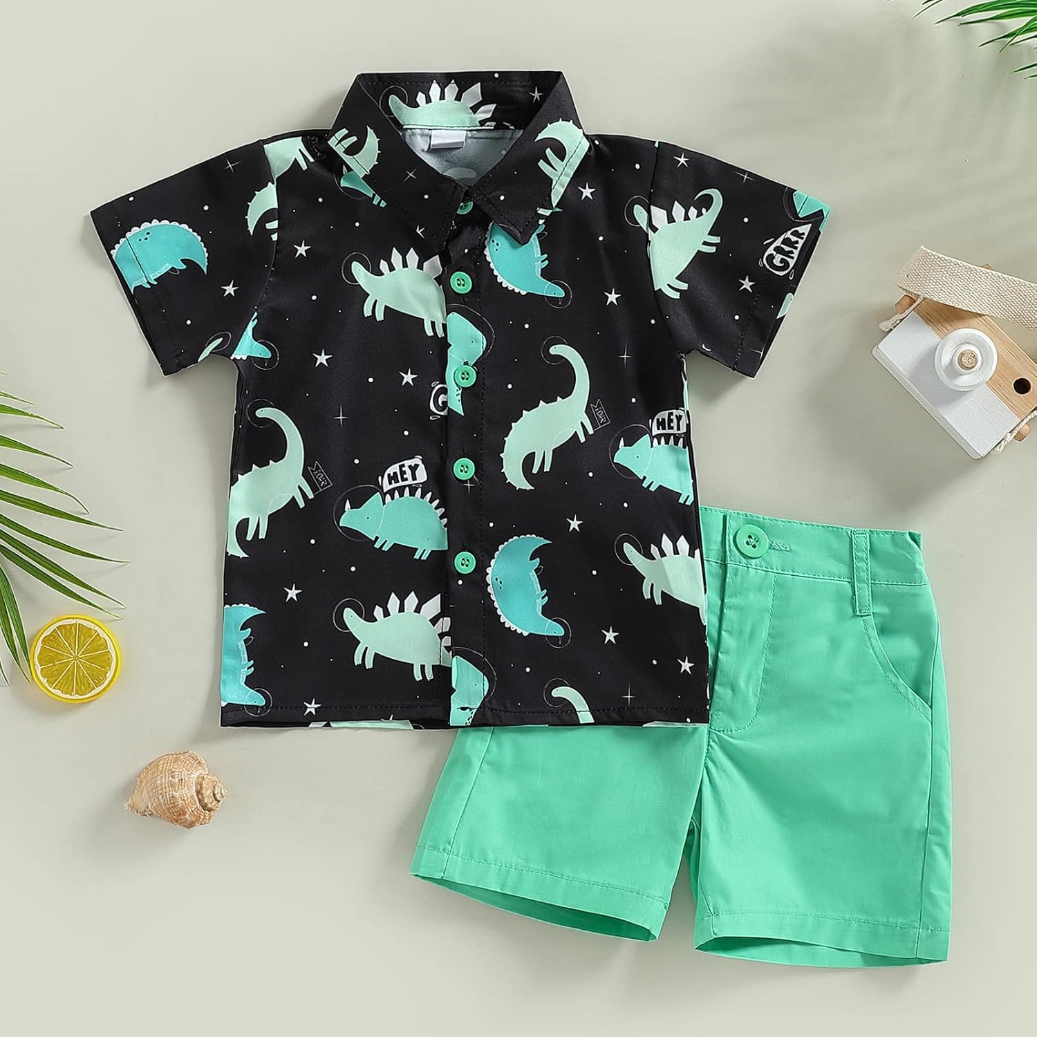 Dinosaur Print Toddler Boy Clothes Set