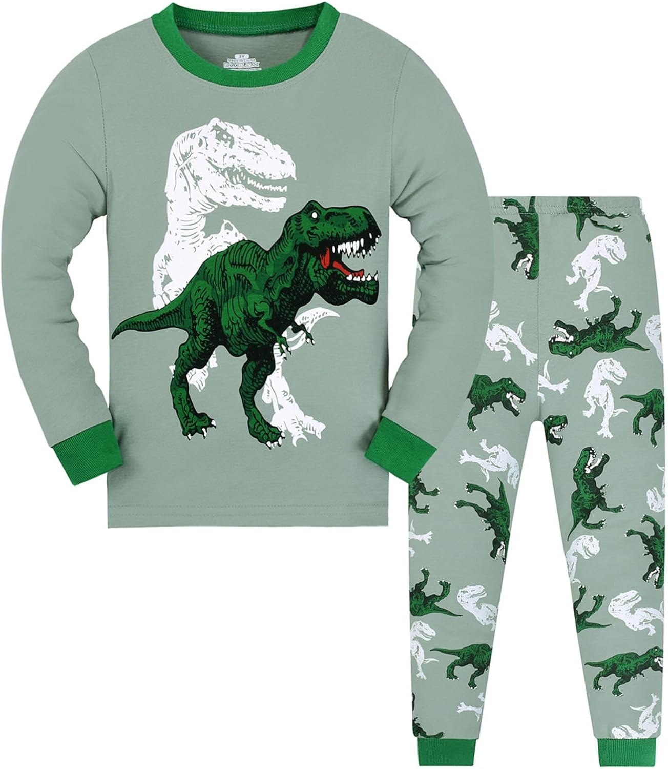 Little Boys Pajamas Dinosaur Cotton 2 Piece Set Fall Winter