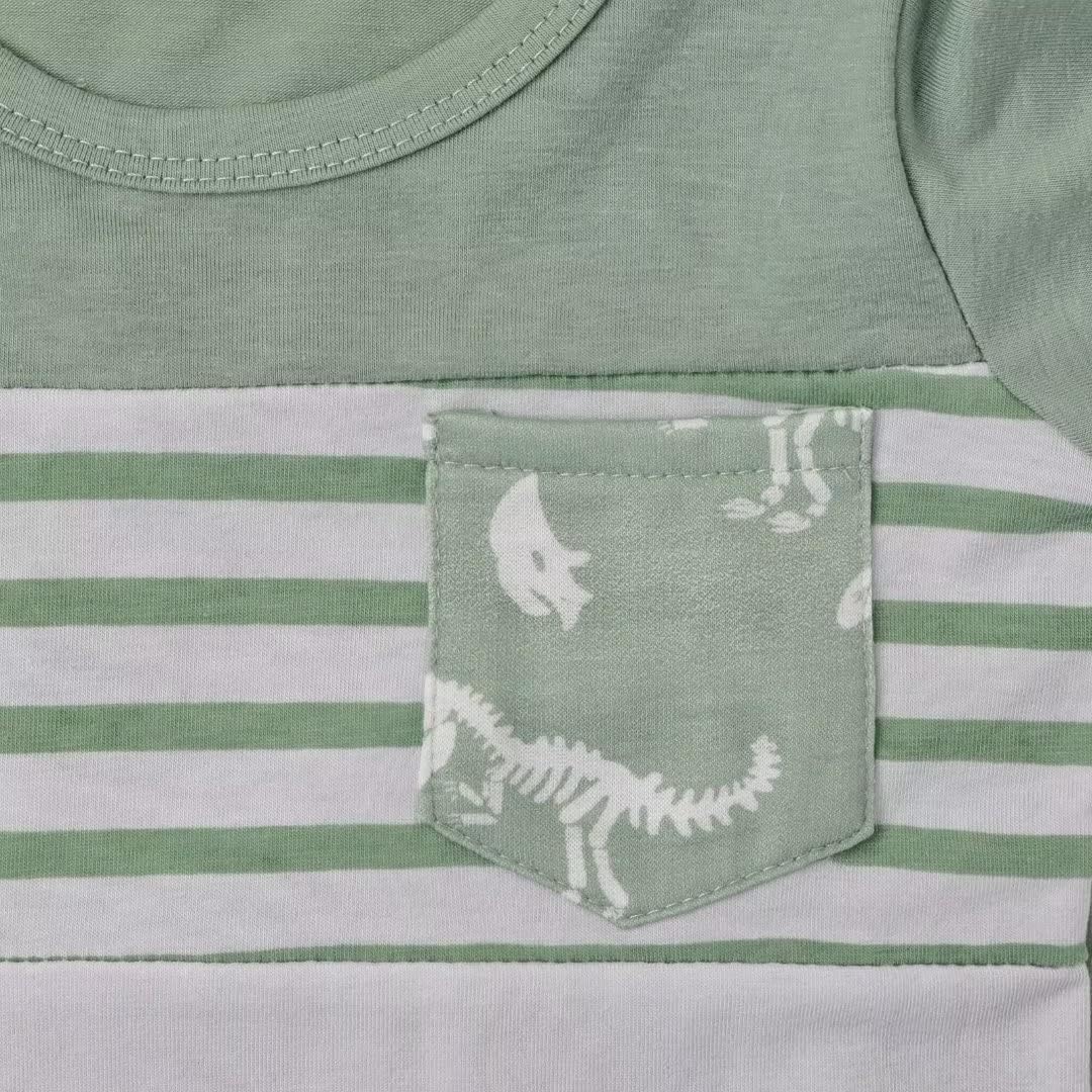 Toddler Boys Dinosaur T-Shirt Shorts Set