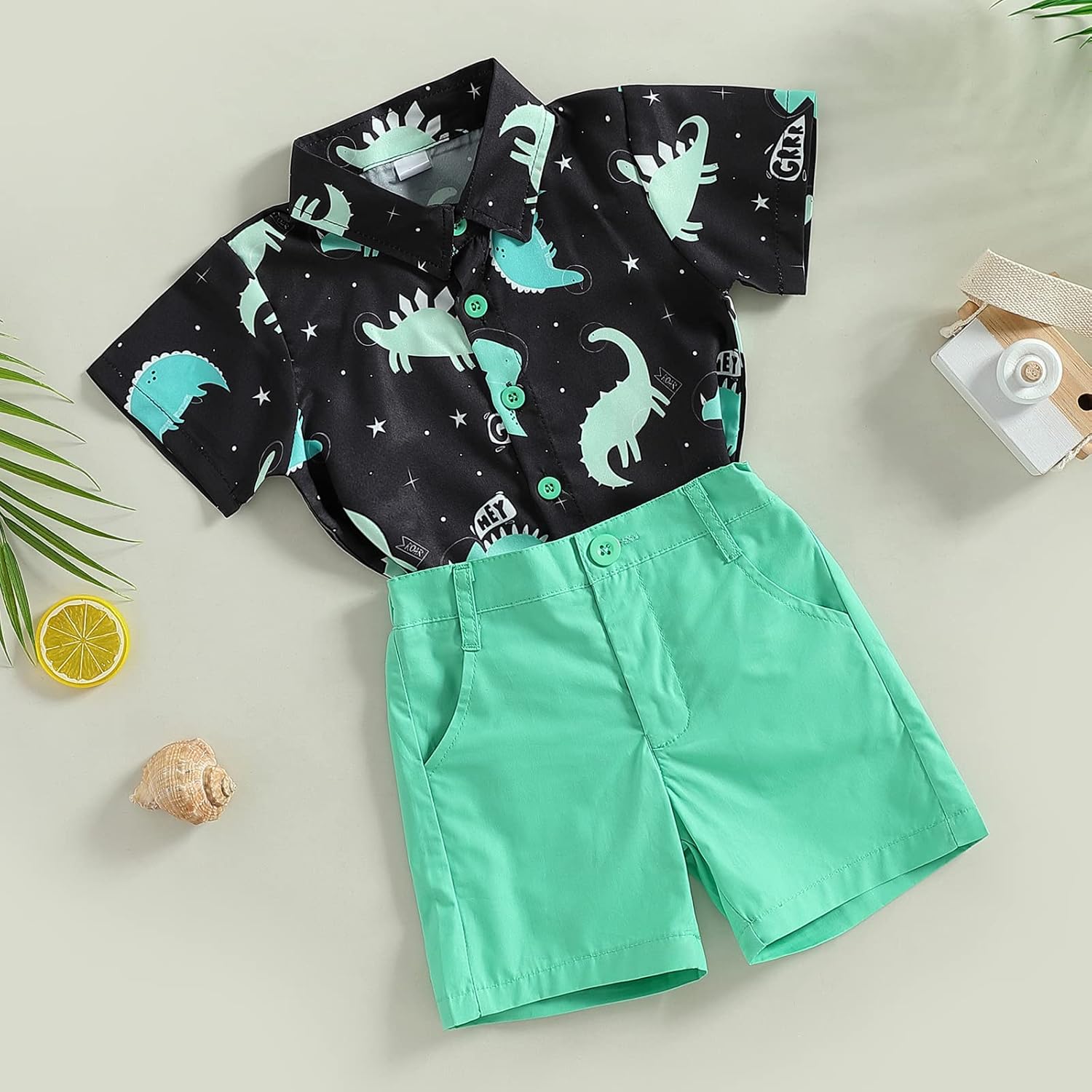 Dinosaur Print Toddler Boy Clothes Set
