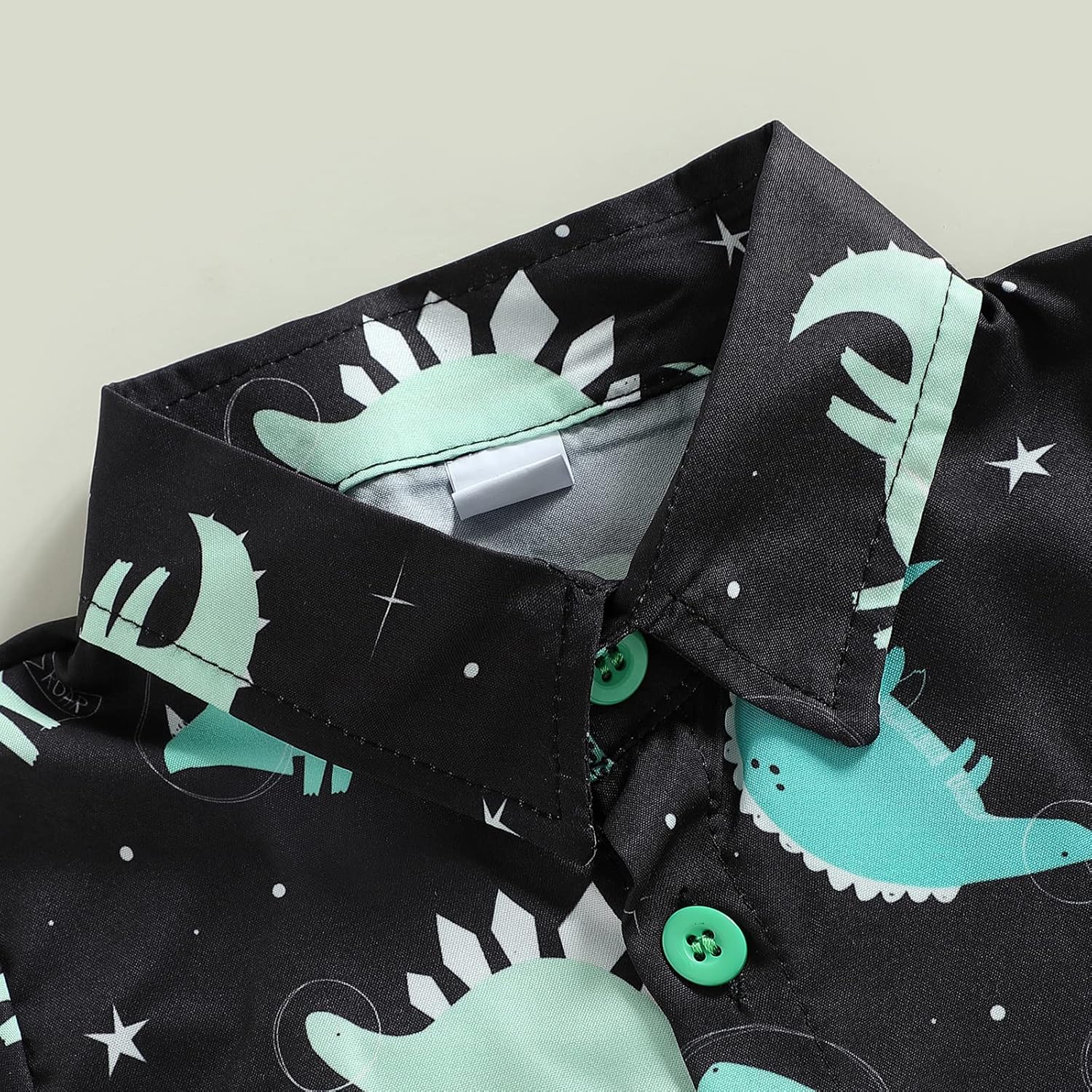 Dinosaur Print Toddler Boy Clothes Set